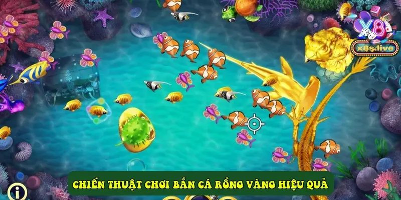 Chiến Thuật Chơi Bắn Cá Rồng Vàng Hiệu Quả
